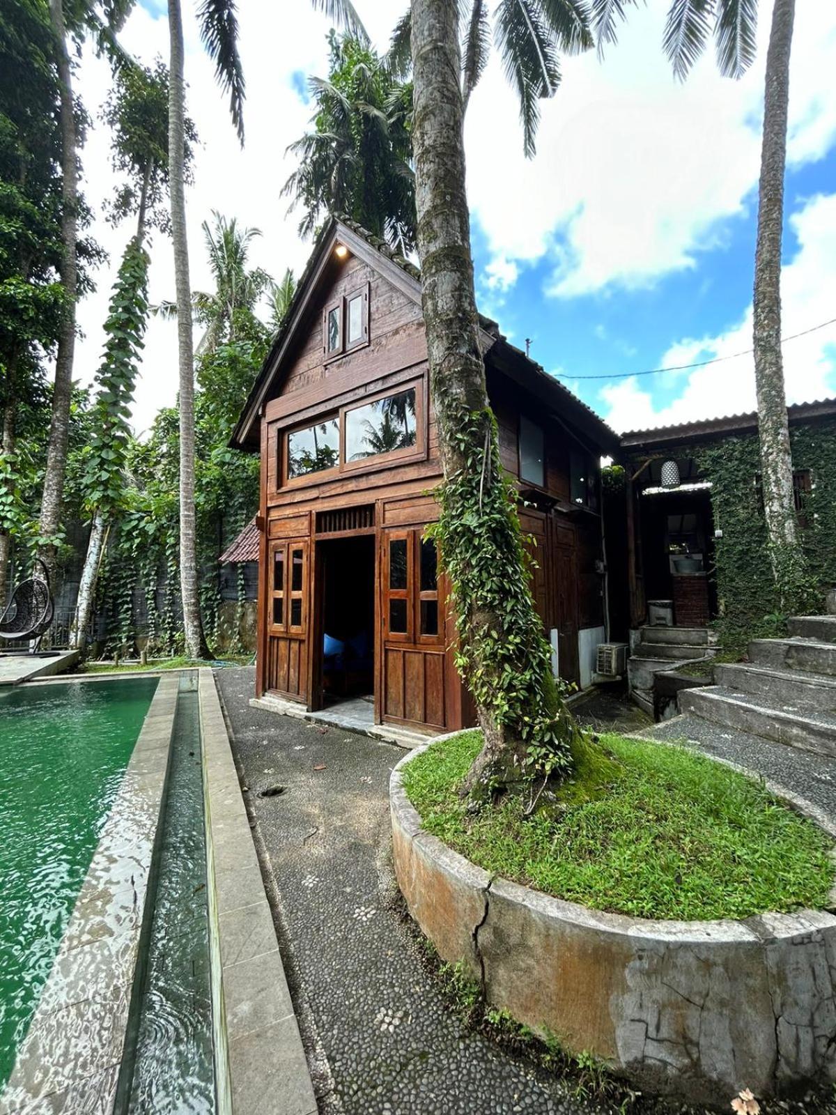 Tirta Padi Villa Ubud מראה חיצוני תמונה